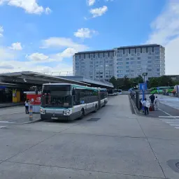 Paryż lotnisko Charles de Gaulle: autobusy czekają na pasażerów, gotowe do dojazdu do centrum.
